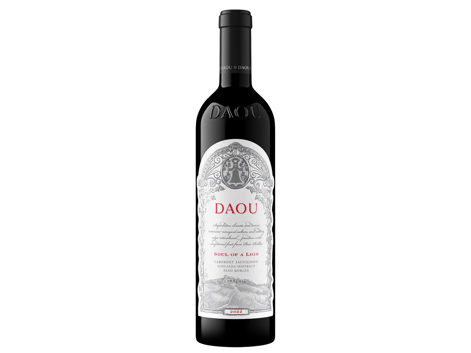 Daou - Soul of a Lion | Headless