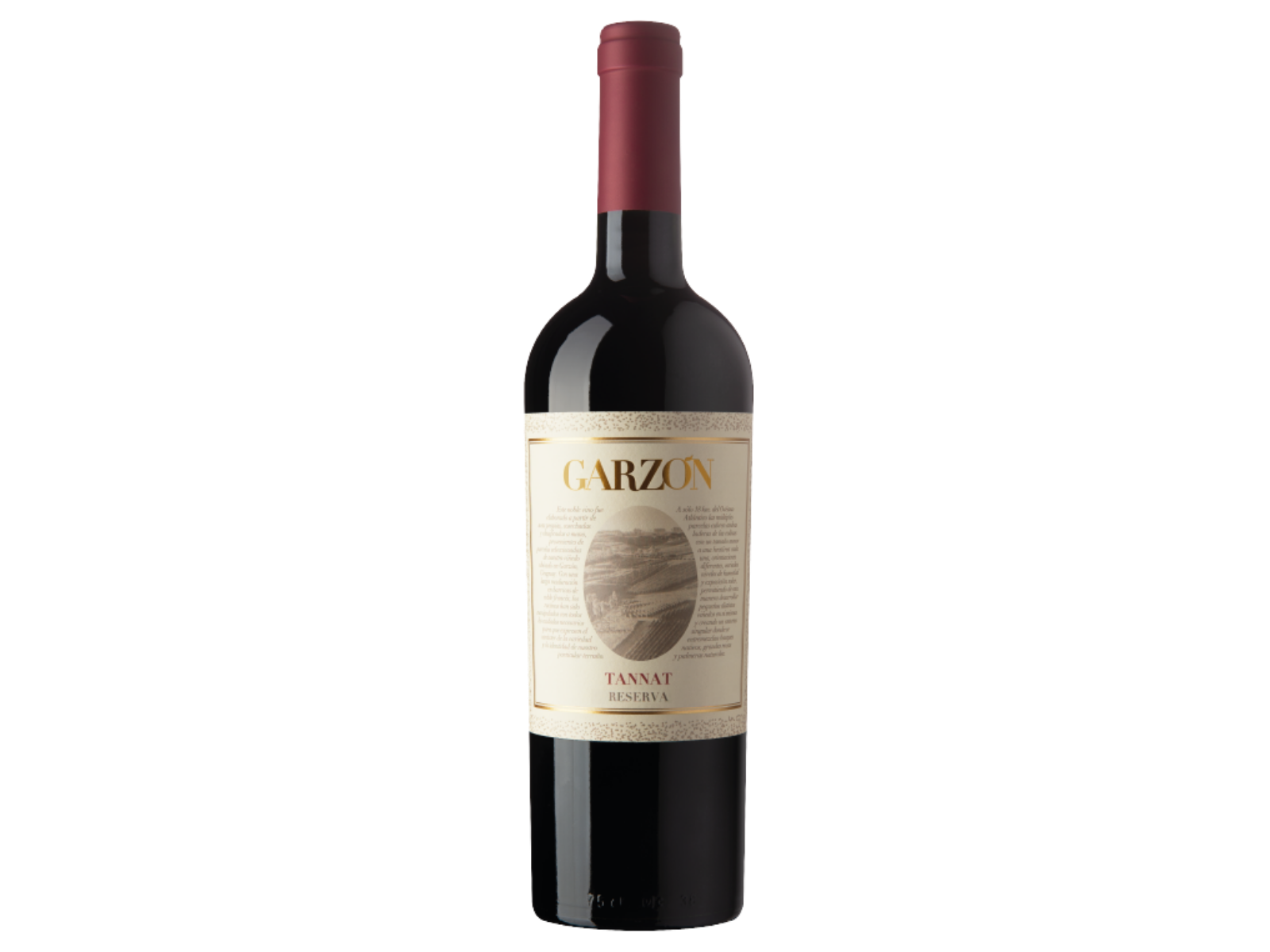 Garzon Website Embed - Buy in USA